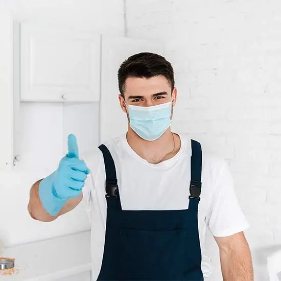 Pest control experts Beaconsfield